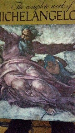 Livro de arte do artista michelangelo 595 páginas