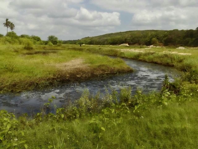 Foto 1 - Fazenda as margens do rio potengi-rn